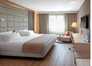 HOTEL NH ARANZAZU ****